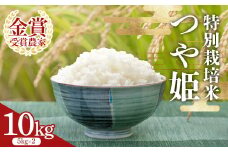 【2025年産 先行予約】 特別栽培米つや姫5kg×2袋 F2Y-4392