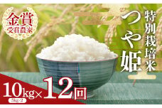 【定期便12回】 特別栽培米つや姫5kg×2袋 F2Y-4024