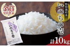 【2025年産 先行予約】 特別栽培米いのちの壱5kg×2 F2Y-4394