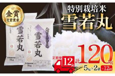 【定期便12回】 特別栽培米 雪若丸 5kg×2袋 F2Y-4028