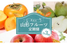 ≪2025年10月上旬頃より発送開始≫秋冬の山形フルーツ定期便（全3回）  フルーツ 果物 くだもの 果実 セット 詰め合わせ 詰合せ 食品 山形県 FSY-1347
