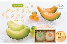 【山形の極み】贈答用 2024年 山形県産 プレミアム メロン 2色セット 3.4kg（2玉） 2024年7月上旬から順次発送 F2Y-5883