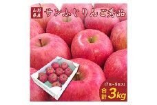 【先行予約2025年度発送】山形県産 りんご「サンふじ」大玉 3kg（秀品・約7～9玉）  りんご リンゴ 林檎 デザート フルーツ 果物 くだもの 果実 食品 山形県 FSY-1325