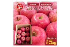【先行予約2025年度発送】山形県産 訳あり サンふじりんご 5kg（約10~20玉）  りんご リンゴ 林檎 デザート フルーツ 果物 くだもの 果実 食品 山形県 FSY-1326