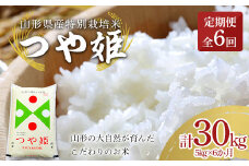 【定期便6回】 山形県産特別栽培米 つや姫 5kg（精米）×6か月 計30kg  米 お米 ブランド米 銘柄米 備蓄 日本米 コメ ごはん ご飯 食品 山形県 F2Y-3898