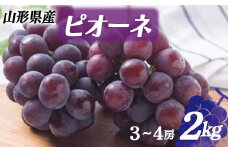 令和6年産先行受付 山形県産 ピオーネ(ブドウ) 2kg (3～4 房)  ぶどう ブドウ 葡萄 デザート フルーツ 果物 くだもの 果実 食品 山形県 FSY-1257