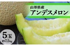 令和6年産先行受付 山形県産 庄内アンデスメロン 5玉(約7.5kg)  青肉メロン メロン 青肉 デザート フルーツ 果物 くだもの 果実 食品 山形県 FSY-1259