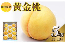 令和6年産先行受付 山形県産 黄金桃(黄桃) 5kg (14～18玉)  もも モモ 桃 デザート フルーツ 果物 くだもの 果実 食品 山形県 FSY-1261
