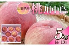 令和6年産先行受付 山形県産 桃(川中島)5kg (14～18 玉)  もも モモ 桃 デザート フルーツ 果物 くだもの 果実 食品 山形県 FSY-1263