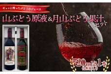 山ぶどう原液・月山ぶどう果汁セット （720ml 各1本） 化粧箱入り F2Y-5572