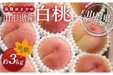 《先行予約》2025年度発送 秋の桃 山形県産白桃／品種おまかせ 約3kg 箱満杯詰め（8～12個入り）  もも モモ 桃 デザート フルーツ 果物 くだもの 果実 食品 山形県 FSY-1332