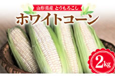 【お天道農園】2024年 山形県産 ホワイトコーン 2kg(5～8本）2024年7月下旬から順次発送  とうきび トウキビ とうもろこし トウモロコシ コーン 野菜 食品 山形県 F2Y-5885