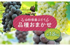 ≪2025年9月上旬頃～10月下旬頃発送≫山形県産ぶどう 品種おまかせ 約1.8kg  ぶどう ブドウ 葡萄 デザート フルーツ 果物 くだもの 果実 食品 山形県 FSY-1321