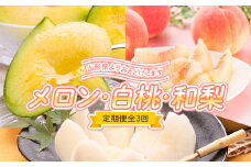 ≪2025年6月下旬頃～9月下旬頃発送≫メロン・白桃・和梨定期便（全3回） FSY-1322