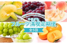 ≪2025年6月下旬頃～11月上旬頃発送≫ やまがたフルーツ満喫定期便（全5回） FSY-1323