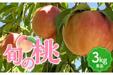 旬の桃 （白桃） 秀品 3kg 8～12玉  もも モモ 桃 デザート フルーツ 果物 くだもの 果実 食品 山形県 FSY-1302