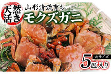 山形清流育ち 天然活きモクズガニ（大サイズ 5匹入り）  かに 海の幸 カニ 蟹 ガニ 魚介 海産物 海鮮 食品 山形県 FSY-0872