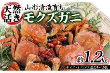山形清流育ち 天然活きモクズガニ 約1.2kg（中小サイズ オス／メス混合 5～10匹入り）  かに 海の幸 カニ 蟹 ガニ 魚介 海産物 海鮮 食品 山形県 FSY-0871