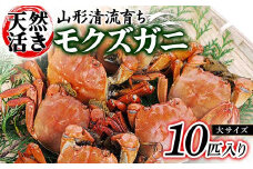 山形清流育ち 天然活きモクズガニ（大サイズ 10匹入り）  かに 海の幸 カニ 蟹 ガニ 魚介 海産物 海鮮 食品 山形県 FSY-0873