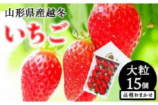 【令和7年12月上旬発送開始】山形県産 越冬いちご 大粒15個 品種おまかせ  いちご イチゴ 苺 デザート フルーツ 果物 くだもの 果実 食品 山形県 FSY-1360