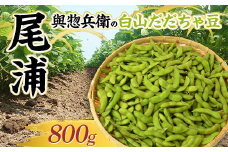 與惣兵衛（よそべえ）の白山だだちゃ豆 晩生品種 尾浦（おうら）800g  えだ豆 豆類 豆 枝豆 えだまめ 野菜 食品 山形県 FSY-1299