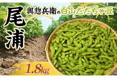 與惣兵衛（よそべえ）の白山だだちゃ豆 晩生品種 尾浦（おうら）1.8kg  えだ豆 豆類 豆 枝豆 えだまめ 野菜 食品 山形県 FSY-1300