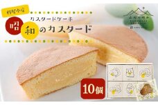 【山形の極み】杵屋本店 カスタードケーキ 昭和のカスタード 10個 F2Y-5941