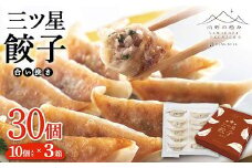 【山形の極み】合い挽き三ツ星餃子 210g（10個入り）×3箱 F2Y-5950