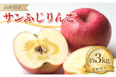 【先行予約・令和6年11月下旬発送】山形県 サンふじりんご 3kg 化粧箱入り 林檎 リンゴ  りんご デザート フルーツ 果物 くだもの 果実 食品 山形県 FSY-1359