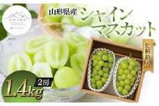 【山形の極み】山形県産 シャインマスカット 1.4kg (2房) 化粧箱入 2024年9月上旬から順次発送 ぶどう 葡萄 果物 フルーツ F2Y-5973
