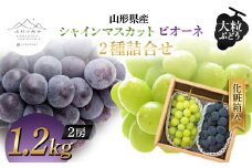 【山形の極み】山形県産 大粒ぶどう 2種詰合せ(シャインマスカット・ピオーネ) 1.2kg (2房) 化粧箱入 2024年9月上旬から順次発送 ぶどう 葡萄 果物 フルーツ F2Y-5985