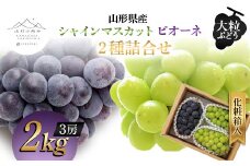 【山形の極み】山形県産 大粒ぶどう 2種詰合せ(シャインマスカット・ピオーネ) 2kg (3房) 化粧箱入 2024年9月上旬から順次発送 ぶどう 葡萄 果物 フルーツ F2Y-5990