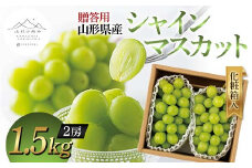 【山形の極み】贈答用 山形県産 シャインマスカット 1.5kg (2房) 化粧箱入 2024年9月中旬から順次発送 ぶどう 葡萄 果物 フルーツ F2Y-5969
