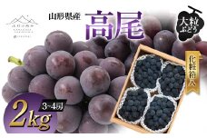 【山形の極み】山形県産 大粒ぶどう 高尾 2kg (3～4房) 化粧箱入 2024年9月上旬から順次発送 ぶどう 葡萄 果物 フルーツ F2Y-5979