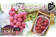 【山形の極み】山形県産 大粒ぶどう クイーンニーナ 550g (1房) 化粧箱入 2024年9月下旬から順次発送 ぶどう 葡萄 果物 フルーツ F2Y-5978
