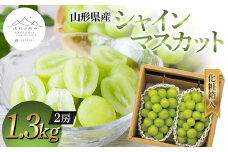【山形の極み】山形県産 シャインマスカット 1.3kg (2房) 化粧箱入 2024年9月中旬から順次発送 ぶどう 葡萄 果物 フルーツ F2Y-5966