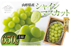 【山形の極み】山形県産 シャインマスカット 650g (1房) 化粧箱入 2024年9月中旬から順次発送 ぶどう 葡萄 果物 フルーツ F2Y-5965