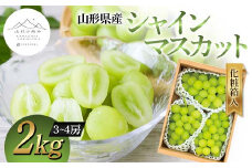 【山形の極み】山形県産 シャインマスカット 2kg (3～4房) 化粧箱入 2024年9月中旬から順次発送 ぶどう 葡萄 果物 フルーツ F2Y-5967
