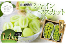【山形の極み】山形県産 シャインマスカット 1.4kg (2房) 化粧箱入 2024年10月上旬から順次発送 ぶどう 葡萄 果物 フルーツ F2Y-5971