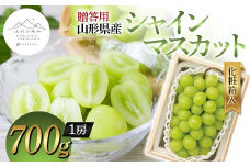 【山形の極み】贈答用 山形県産 シャインマスカット 700g (1房) 化粧箱入 2024年9月中旬から順次発送 ぶどう 葡萄 果物 フルーツ F2Y-5975