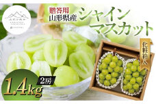 【山形の極み】贈答用 山形県産 シャインマスカット 1.4kg (2房) 化粧箱入 2024年9月中旬から順次発送 ぶどう 葡萄 果物 フルーツ F2Y-5976