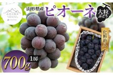 【山形の極み】山形県産 大粒ぶどう ピオーネ 700g (1房) 化粧箱入 2024年9月中旬から順次発送 ぶどう 葡萄 果物 フルーツ F2Y-5981