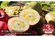 《2025年 先行予約》山形県産 サンふじりんごとラ・フランス セット 約3kg 12玉(各6玉) F2Y-5993