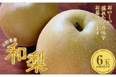 『令和7年産先行受付』 山形県産和梨 6玉※品種おまかせ 秀品 FSY-2054
