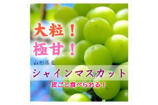 《先行受付 2025年》山形県産 大房大粒シャインマスカット 約700g～800g マスカット ぶどう ブドウ 葡萄 デザート フルーツ 果物 くだもの 果実 食品 山形県 FSY-1800