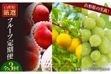 《先行予約 2025年7月発送開始》山形県の至高！山形県厳選フルーツ定期便 全3回  もも モモ 桃 デザート フルーツ 果物 くだもの 果実 食品 山形県 FSY-1805