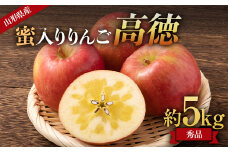 《先行受付 2025年》山形県産 蜜入りんご 高徳（こうとく） 秀品 約5kg  りんご リンゴ 林檎 デザート フルーツ 果物 くだもの 果実 食品 山形県 FSY-1810