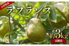 《先行予約 2025年度発送》山形県産 高糖度 ラ・フランス 約3kg（6～10玉）  なし ナシ 梨 デザート フルーツ 果物 くだもの 果実 食品 山形県 FSY-1811
