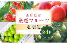 《先行予約 2026年6月発送開始》 山形県の至高！ 山形県厳選 フルーツ定期便 全4回 FSY-2315