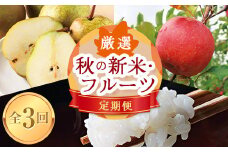 《先行予約 2025年10月発送開始》山形県の至高！ 山形県厳選 秋の新米・フルーツ定期便B 全3回  つや姫 米 お米 ブランド米 銘柄米 備蓄 日本米 コメ ごはん ご飯 食品 山形県 FSY-1818